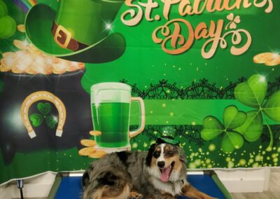 St. Pawtrick’s Day Pawty