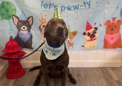 Birthdays