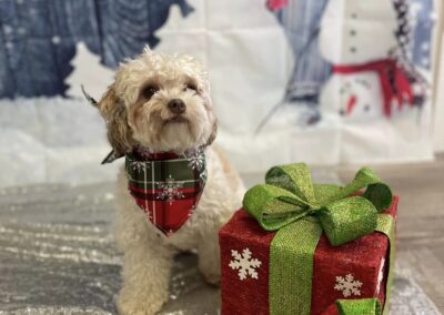 Sitting with Santa